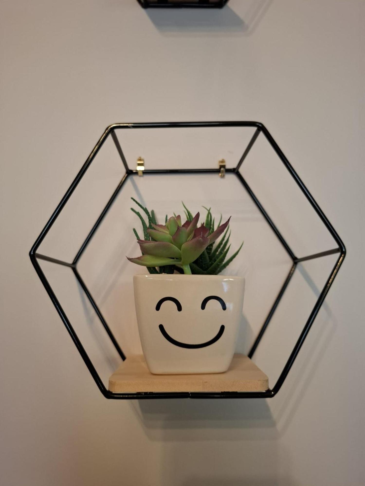 ローマGardenie Houseアパートメント エクステリア 写真